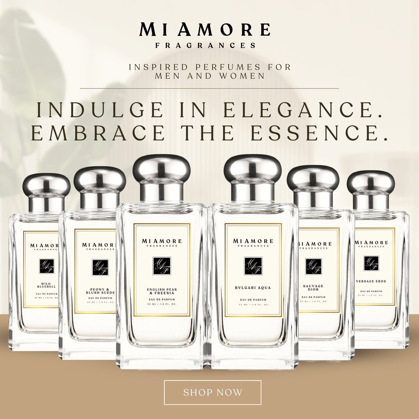 MIAMORE PERFUME FOR MEN and WOMEN | EAU DE PARFUM PREMIUM QUALITY OIL BASED